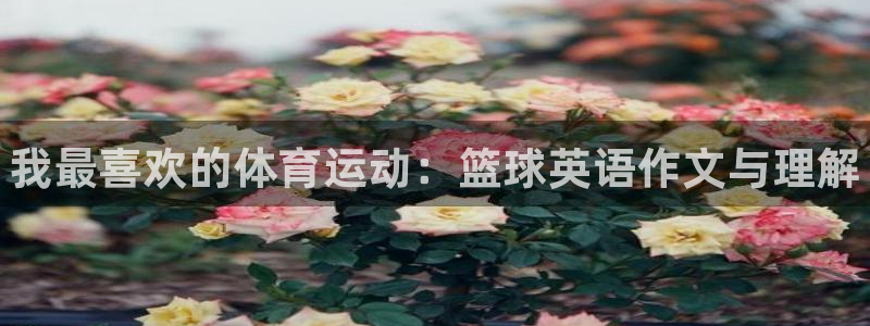 JJB竞技宝官方正版app娱乐首页网站大全：我最喜欢