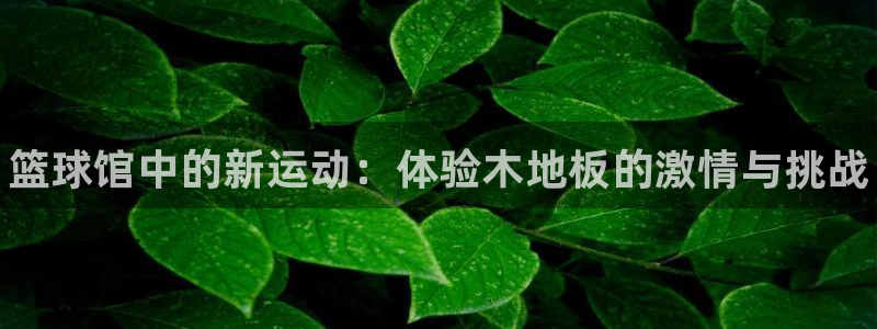 JJB竞技宝官网下载招商电话号码是多少号：篮球馆中的