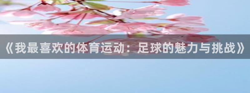 JJB竞技宝官方正版app娱乐网站：《我最喜欢的体育