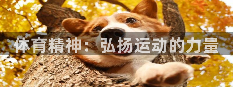 JJB竞技宝官网下载是干嘛的公司：体育精神：弘扬运动