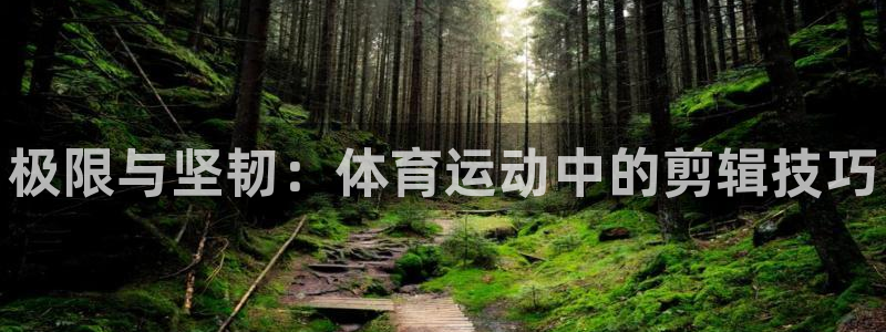 JJB竞技宝官方正版app娱乐网站：极限与坚韧：体育