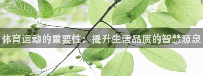JJB竞技宝官网下载是干嘛的公司：体育运动的重要性：提升生活