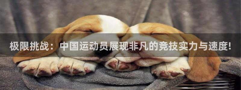 JJB竞技宝官方正版app集团简介：极限挑战：中国运