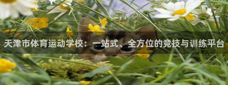 JJB竞技宝官网下载平台注册要钱吗：天津市体育运动学校：一站