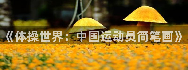 JJB竞技宝官方正版app五金厂：《体操世界：中国运动员简笔