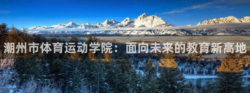 JJB竞技宝官方正版app科技