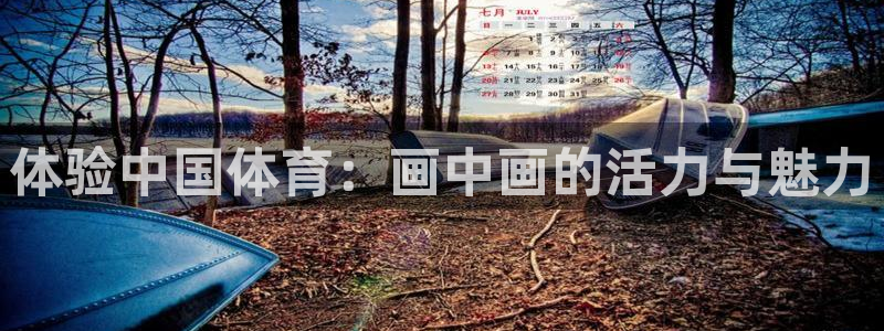 JJB竞技宝官网下载招商电话地址是多少：体验中国体育：画中画