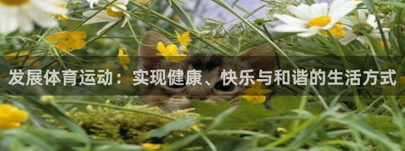 JJB竞技宝官方正版app代理：发展体育运动：实现健康、快乐