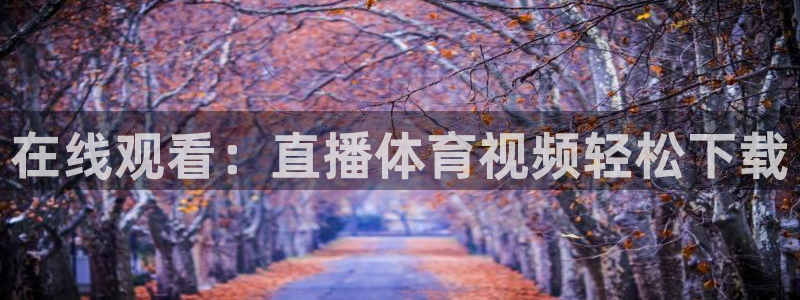 上海五星体育频道在线直播观看