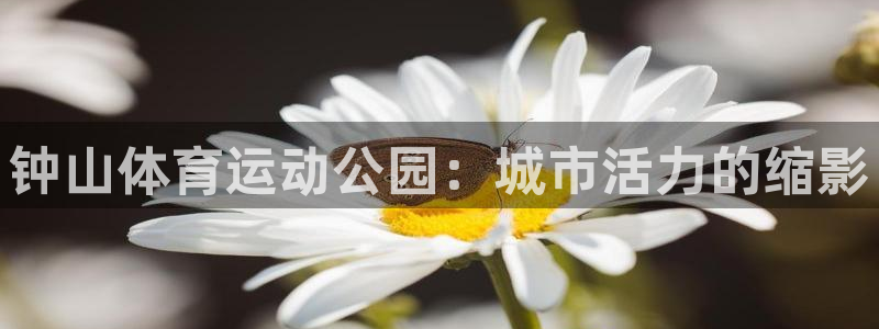 海南JJB竞技宝官网下载发展怎么样：钟山体育运动公园：城市活