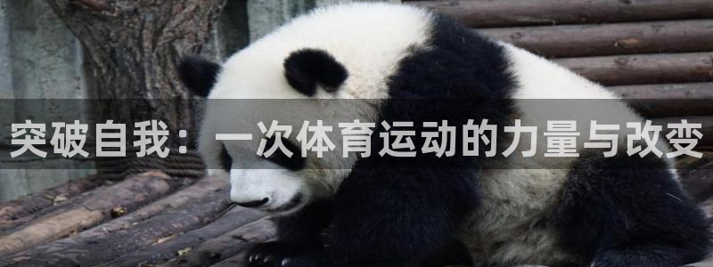 JJB竞技宝官网下载平台注册流程视频：突破自我：一次体育运动