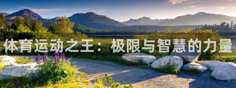 JJB竞技宝官网下载招商电话号码是多少：体育运动之王