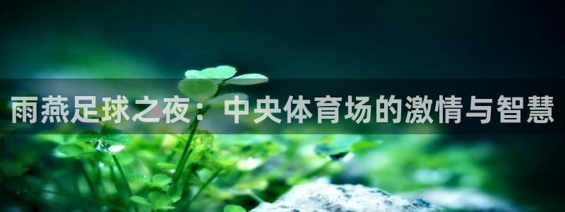 五星体育频道f1：雨燕足球之夜：中央体育场的激情与智慧