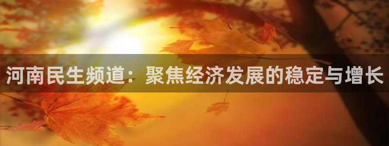 五星体育网球直播：河南民生频道：聚焦经济发展的稳定与增长